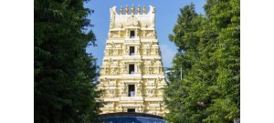 270. திருப்பருப்பதம் (ஸ்ரீசைலம்)